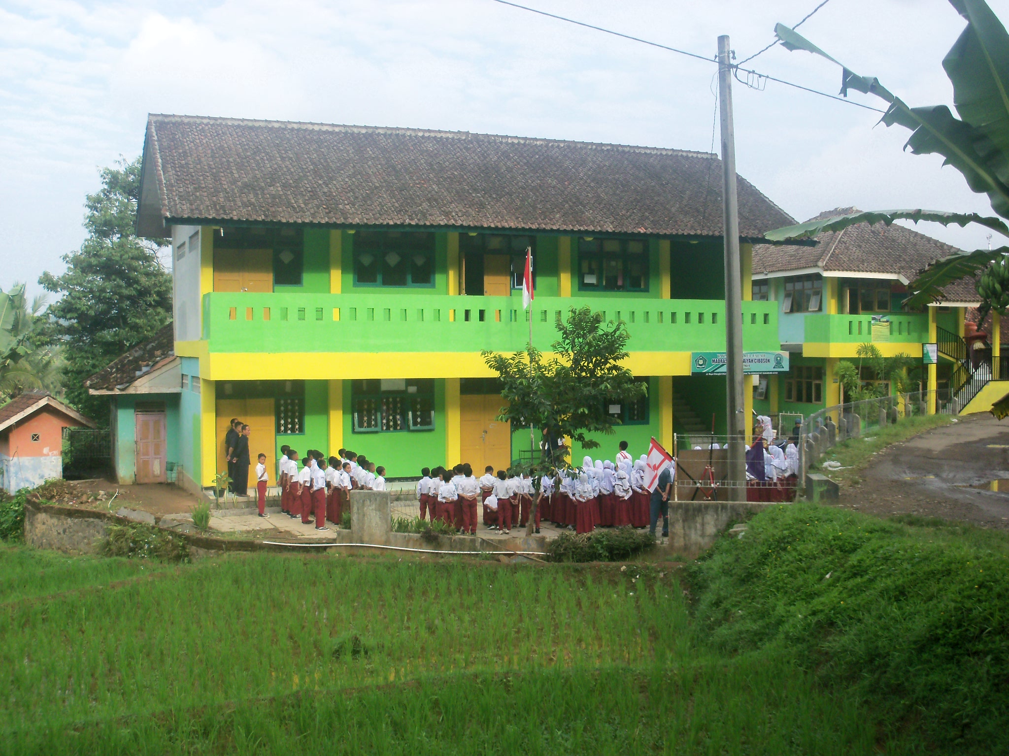  Kombinasi  Warna  Cat Gedung Sekolah Model Interior Rumah